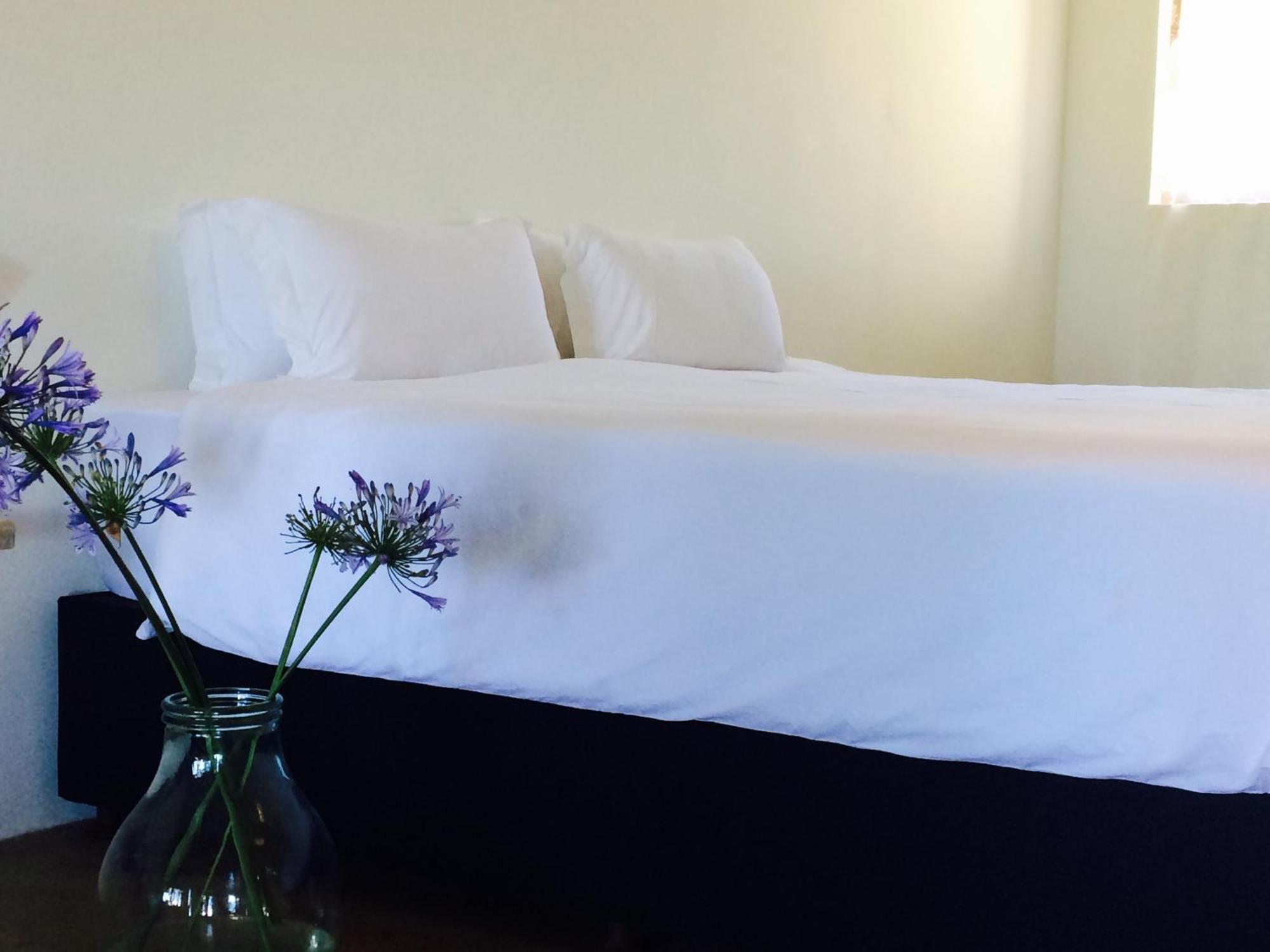 Hotel Seven Fountains Farm Grahamstown Exterior foto