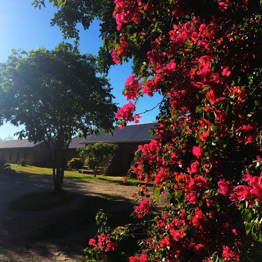 Hotel Seven Fountains Farm Grahamstown Exterior foto